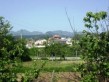 view from porch