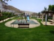 Complex garden area