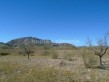 Land for sale in the Llanos De Peral area